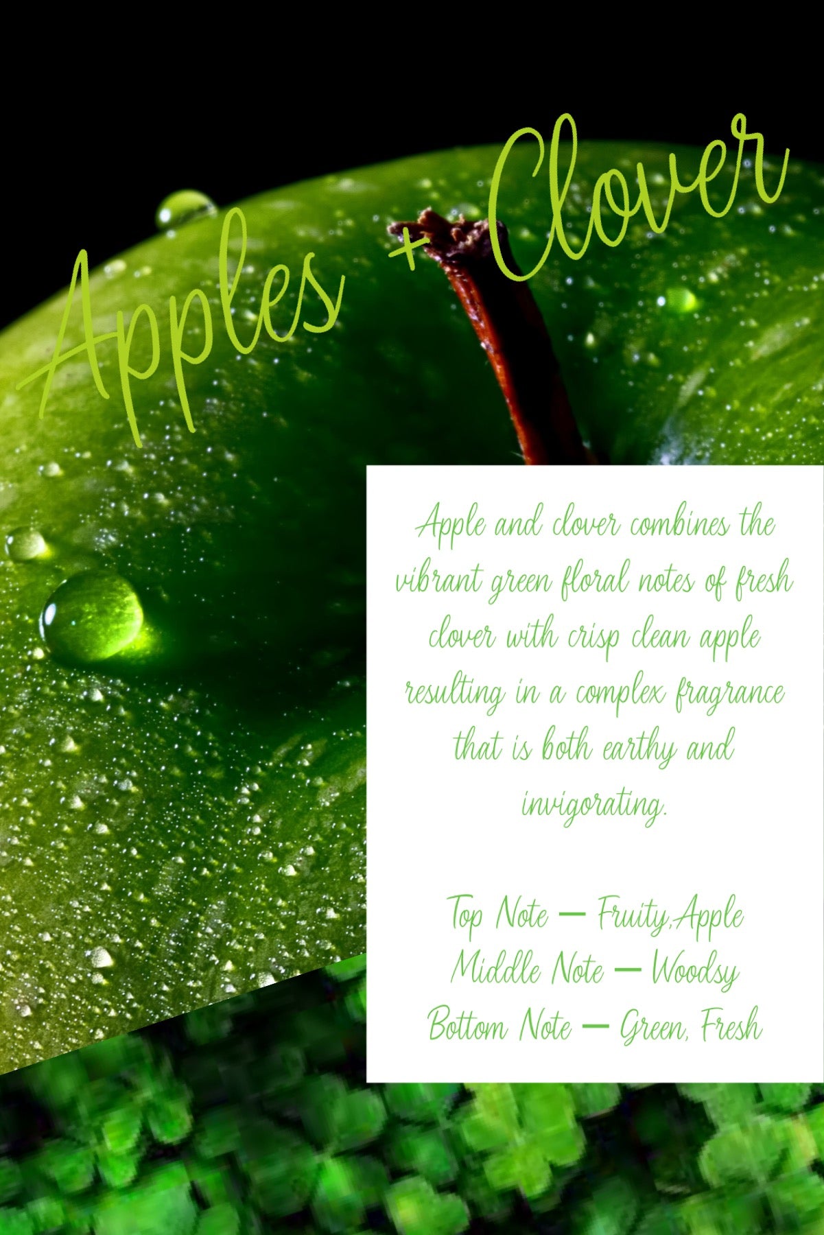 Apples + Clover Soy Candle