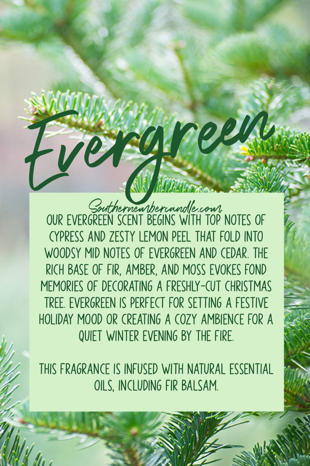 Evergreen Soy Candle